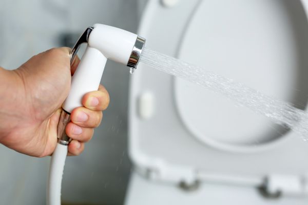Bidet Installation in Huntersville