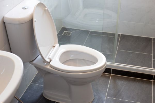Toilet Replacement in Huntersville