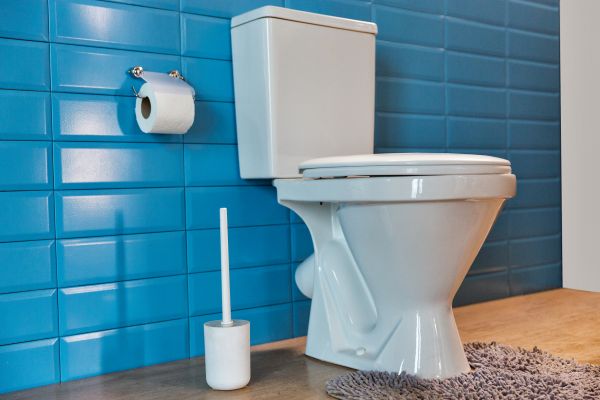 Cost of Toilet Tank Repair in Huntersville
