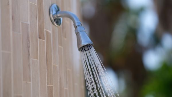 Cost of Showerhead Repair in Huntersville